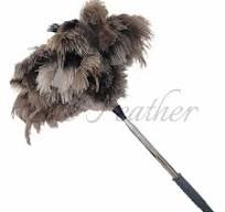 Cepillos de plumas de avestruz - Herramientas de limpieza de ...