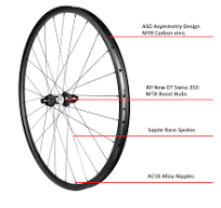 LightCarbon Mountain Bike Carbon Wheels With DT350S MTB ...