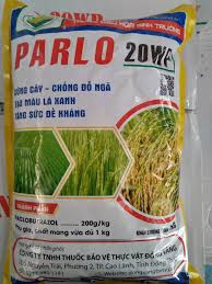 Parlo 20WP