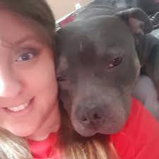 Missing pitbull near high school