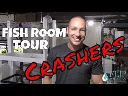 This guy is the king of pointless diy. The King Of Diy With A Planted Aquarium Tour Fish Room Youtube Fishing Room Planted Aquarium Diy Aquarium