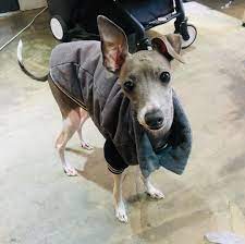 Pin On Popular Trending