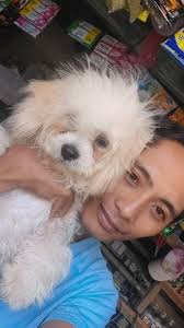 Ganyan dapat 🤣Tikboy Kulit Jho Myl EdioBernabe Cabanigan Vilma Casipong  Analyn Cabanigan Roman Manuel V Casimero