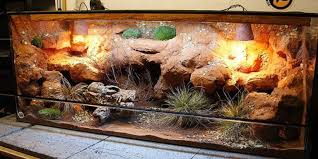 Best Cages For Bearded Dragons Pets Zone In 2020 Bearded Dragon Terrarium Bearded Dragon Vivarium Bearded Dragon Cage