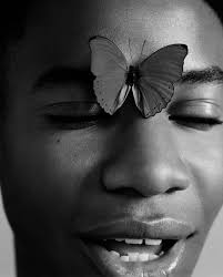 Evolution: Ben Toms Photographs Nature's Shapeshifters