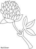 Maybe you would like to learn more about one of these? Clovers And Shamrocks Coloring Pages