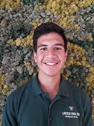 Tino Arreguin's Instagram, Twitter & Facebook