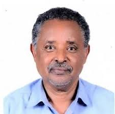 Theme Leads, Co- Leads and Additional Staff.