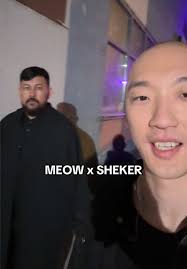 Хотите полноценный сериал или фильм #MEOW x #SHEKER ?