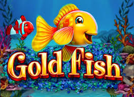 Crazyashwin website are the right place for big fish casino free chips, freebies, free coins, and gold bars free rewards. Goldfish Honest Review Bonus Features