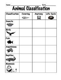 Animal Classification Comparison Chart For First Or Second Grade