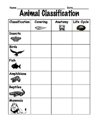 animal classification comparison chart for first or second grade