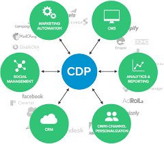 What is customer data platform (CDP)? | Lytics
