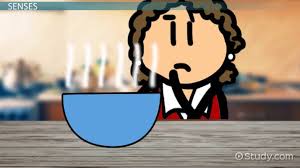 Language in the narrow sense of the word is a system of means of expression, while speech is a manifestation of the system of language in the process the function of a grammatica paradigm is to express a categorical meaning. Descriptive Words Lesson For Kids Video Lesson Transcript Study Com