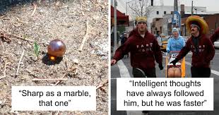 30 Polite Ways To Describe A Person S Lack Of Intelligence Bored Panda