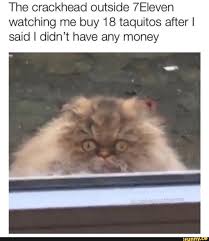 The Crackhead Outside 7eleven Watching Me Buy 18 Taquitos After I Said I Didn T Have Any Money Ifunny Great Memes Funny Memes Kitten Meowing