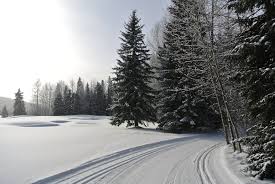 Profile for Fernie Golf & Country Club Maintenance