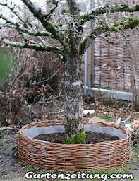 Weiden Selber Flechten Baumrondell Baum Mit Weide Umflechten Garten Anpflanzen Weiden Hortensienpflanze