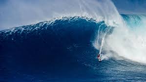 After losing an arm to a shark attack at age 13, bethany hamilton refuses to give up her dreams of being a professional surfer. Bethany Hamilton Unstoppable Review Captures Her Story And Spirit Variety