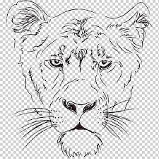 Tigre blanco es el jefe que nos espera al final de la misión el demonio del monte hiei. Lionhead Conejo Libro Para Colorear Tigre Leon Blanco Mamifero Cara Png Klipartz