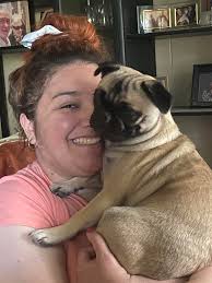 Introduction of a 4-month-old Maltipoo Puppy