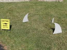 We did not find results for: Diy Shark Party Decor Warning Signs And Land Sharks Shark Party Shark Themed Birthday Party Shark Week Party