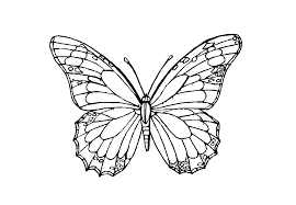 Hier Finden Sie Schone Schmetterlinge Ausmalbilder Als Pdf Vorlage Die Vorlagen Konnen Sie Ganz Ei Schmetterling Vorlage Malvorlagen Tiere Mandala Malvorlagen