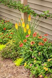 Generally, flower gardens need more frequent watering during hot dry spells than during cool weather. 10 Perennials And Shrubs For Hot Dry Climates Proven Winners