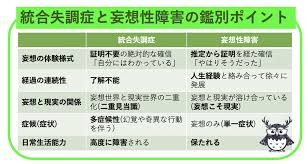 妄想 性 障害 ブログ