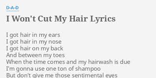 The song is about the panic of being with somebody when you are in an unhealthy state of mind about yourself. I Won T Cut My Hair Lyrics By D A D I Got Hair In