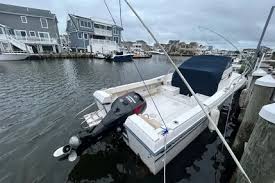 Image result for Oxford White 1993 Explorer