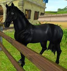 Overview other appearances gallery the shire horse is a breed available in star stable online. Welches Pferd Sso Pferde So