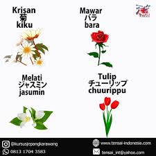 Kumpulan nama bunga lengkap beserta gambar dan deskripsinya. Nama Nama Bunga Dalam Bahasa Jepang Penerjemah Jepang Facebook