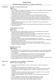 Senior It Manager Resume Samples Velvet Jobs