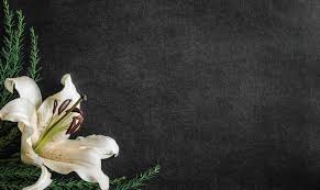 SVM_Tributes_101222 by Shaw Media