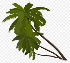Palm Tree Clip Art Png Tropical Leaf Png Stunning Free Transparent Png Clipart Images Free Download Browse and download hd palm leaf png images with transparent background for free. palm tree clip art png tropical leaf