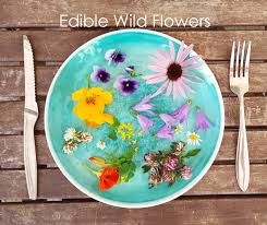 Maybe you would like to learn more about one of these? 10 Edible Wild Flowers The L Oven Life