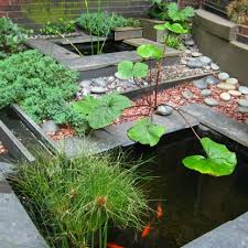 A Koi Pond By The Entrance To The Clarendon Square Inn Brings Some Zen To The South End Garden Inspiration Koi Pond Garden