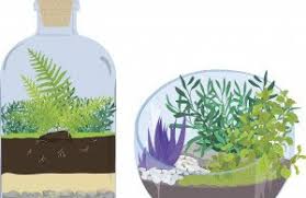 Our gothic style plant terrariums for sale with their graceful arches were inspired by the conservatories of england, which while the wardian style terrarium stems from dr ward, a physicist from the 1800's in england with a passion for botany, who found that plants thrived in an enclosed. Ultimate Guide To Terrariums Ambius