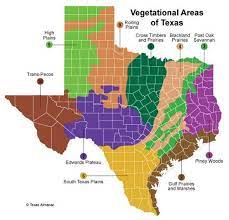 The Types Of Plants Found In Texas Vary Widely From One Region To The Next This Is Due To The Amount And Freque Texas Plants Texas Landscaping Texas Gardening