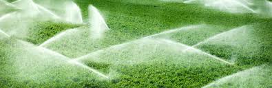 Comunicat de european advertising network srl. Irigarea Fertilizarea Si Erbicidarea Culturilor De Legume In Camp Sau Sera