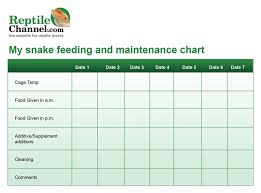 Snake Feeding Chart