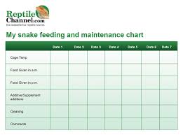 snake feeding chart