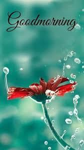 35 Good Morning Quotes And Wishes With Beautiful Images Tailpic We guarantee good morning wishes images.