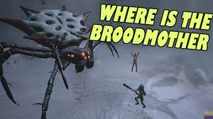 Where to find the broodmother in grounded
