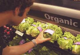 North america and europe and the global market for organic products continues to grow. The Growth Of The Organic Products Market In The Us Will Continue To Present Opportunities For Exporters From Lac Inter American Institute For Cooperation On Agriculture