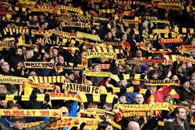 Includes the latest news stories, results, fixtures, video and audio. Watford Fc Thank Fans For Support Watford Observer