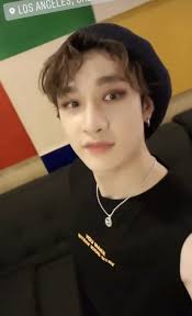 Bangchan Chan Skz Straykids Video Stray Kids Chan Chris Chan Funny Kpop Memes