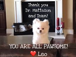 We offer routine care such as. Tracy Veterinary Clinic 31 Photos 93 Reviews Veterinarians 20 W Grant Line Rd Tracy Ca Phone Number