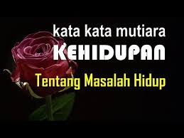 It's a place where all searches end! Download Katamutiara 3gp Mp4 Codedwap